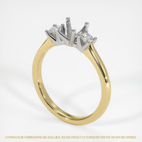 14K White & Yellow Three Stone Ring Setting Video