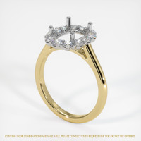 14K White & Yellow Halo Ring Setting Video