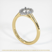 14K White & Yellow Halo Ring Setting Video