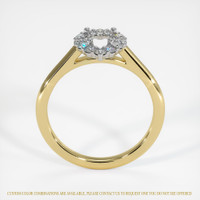 18K White & Yellow Halo Ring Setting Image