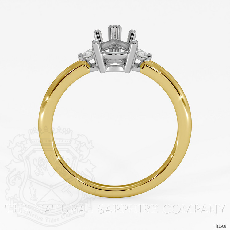 14K White & Yellow Three Stone Ring Setting