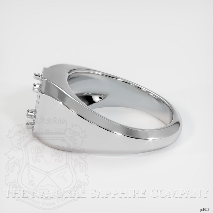 10K White Gold Men's Ring Setting