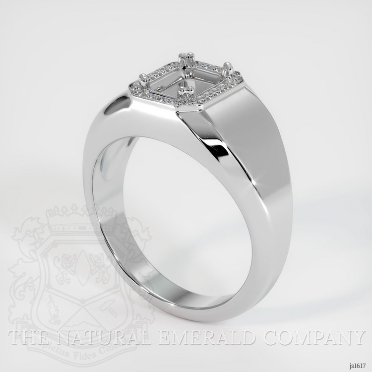 18K White Gold Men's Ring Setting