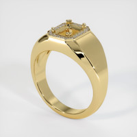 14K Yellow Gold Men's Ring Setting Video