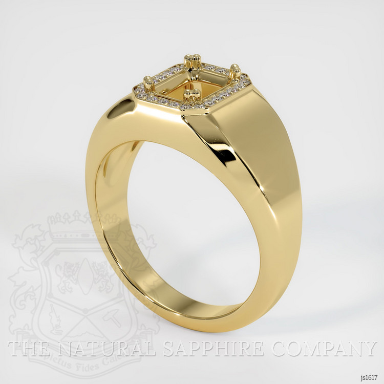 14K Yellow Gold Men's Ring Setting