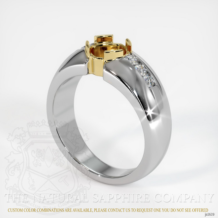 14K Yellow & White Men's Ring Setting