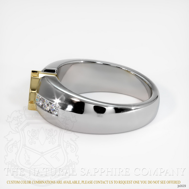 14K Yellow & White Men's Ring Setting