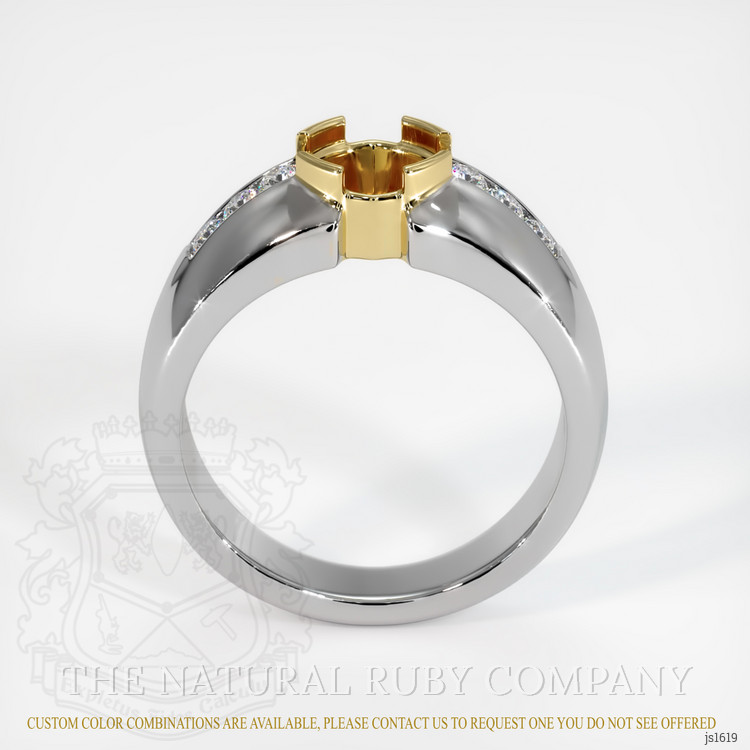 14K Yellow & White Men's Ring Setting