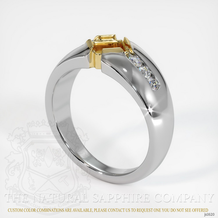 14K Yellow & White Men's Ring Setting