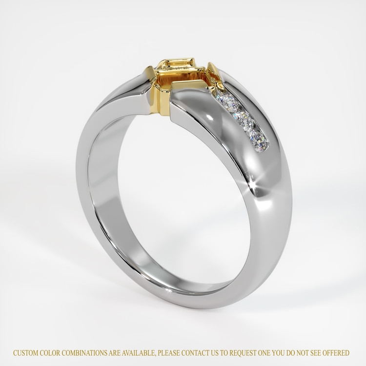 14K Yellow & White Men's Ring Setting