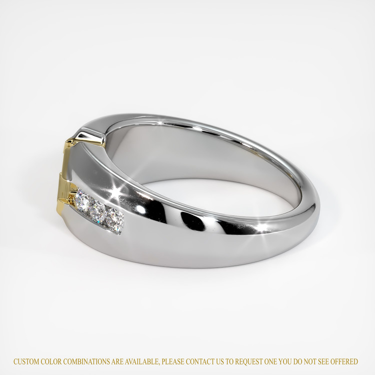 14K Yellow & White Men's Ring Setting