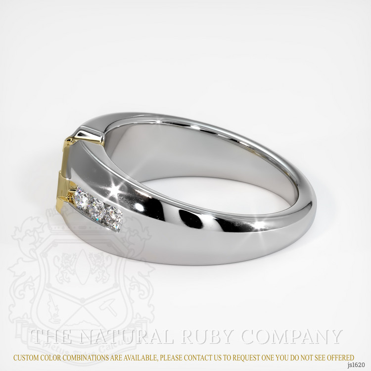 14K Yellow & White Men's Ring Setting