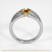 14K Yellow & White Men's Ring Setting Image