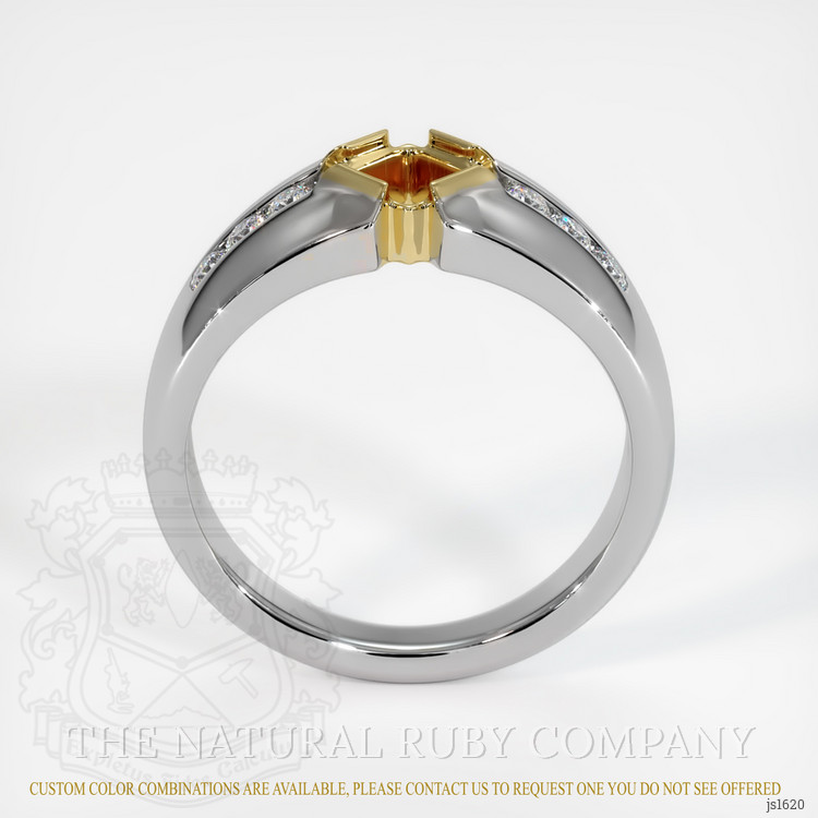 14K Yellow & White Men's Ring Setting