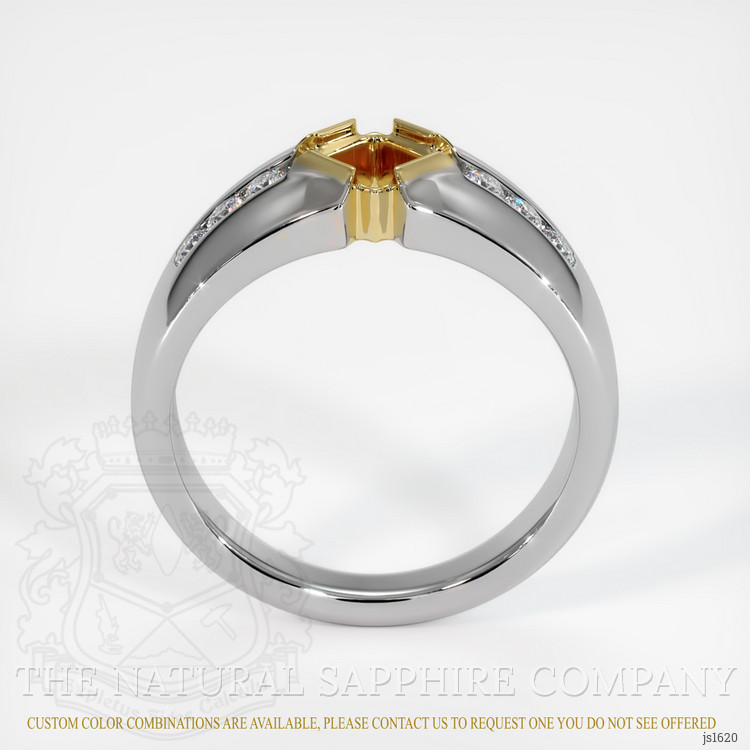 14K Yellow & White Men's Ring Setting