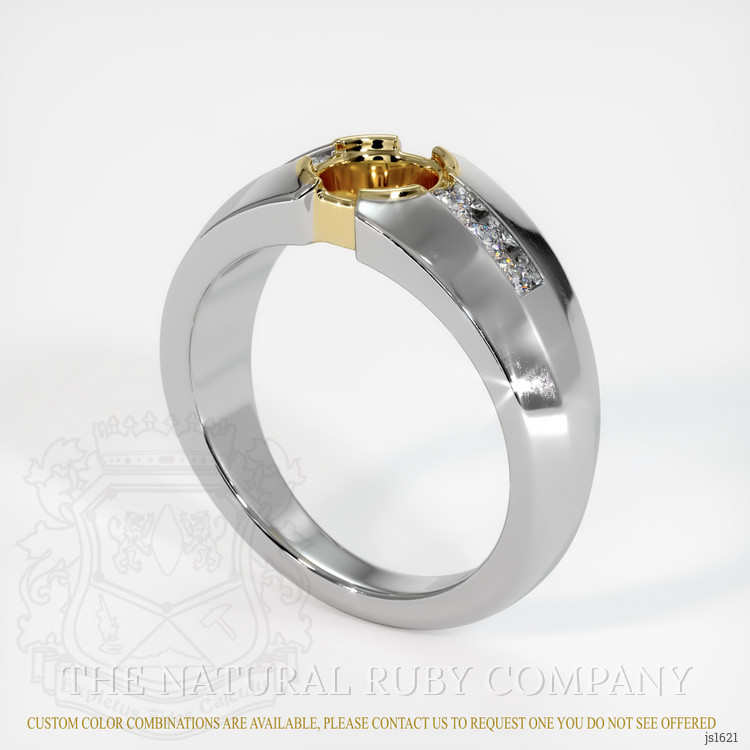14K Yellow & White Men's Ring Setting
