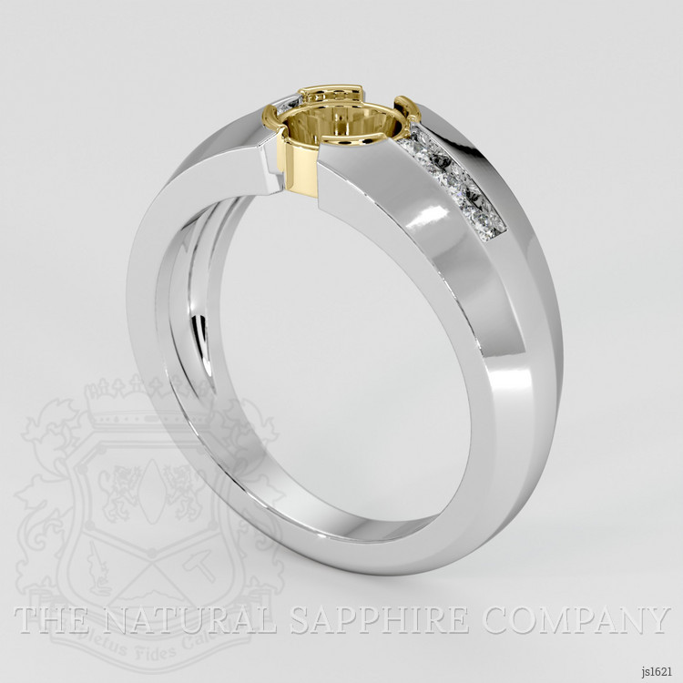 18K Yellow & White Men's Ring Setting