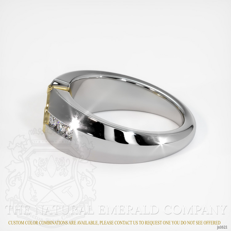18K Yellow & White Men's Ring Setting