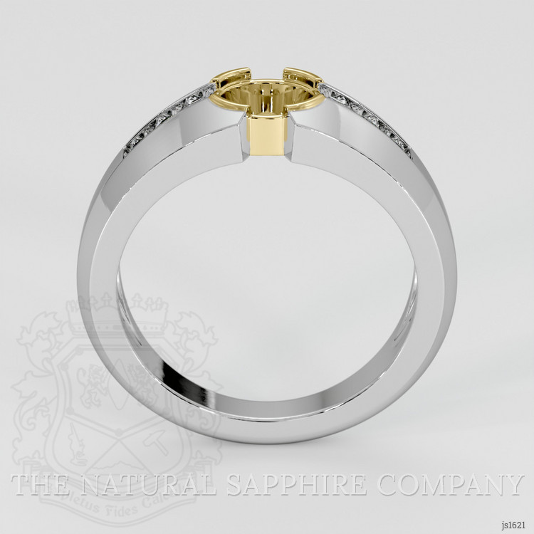 18K Yellow & White Men's Ring Setting