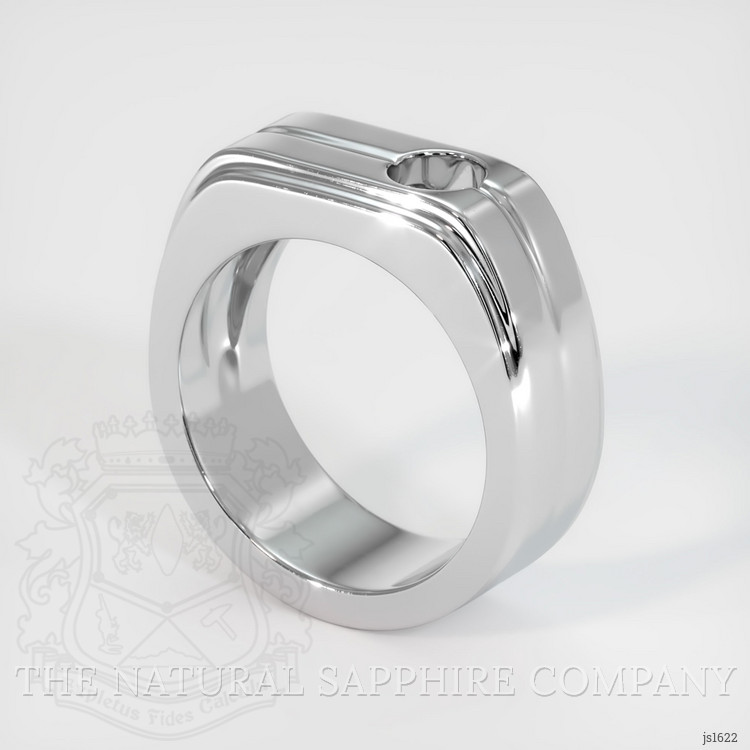 10K White Gold Men's Ring Setting