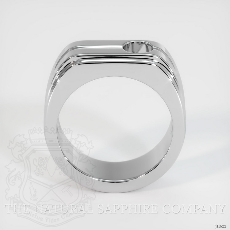 10K White Gold Men's Ring Setting