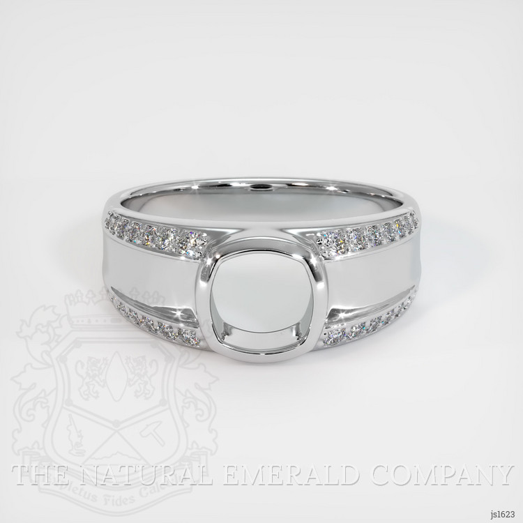 Silver Men's Ring Setting