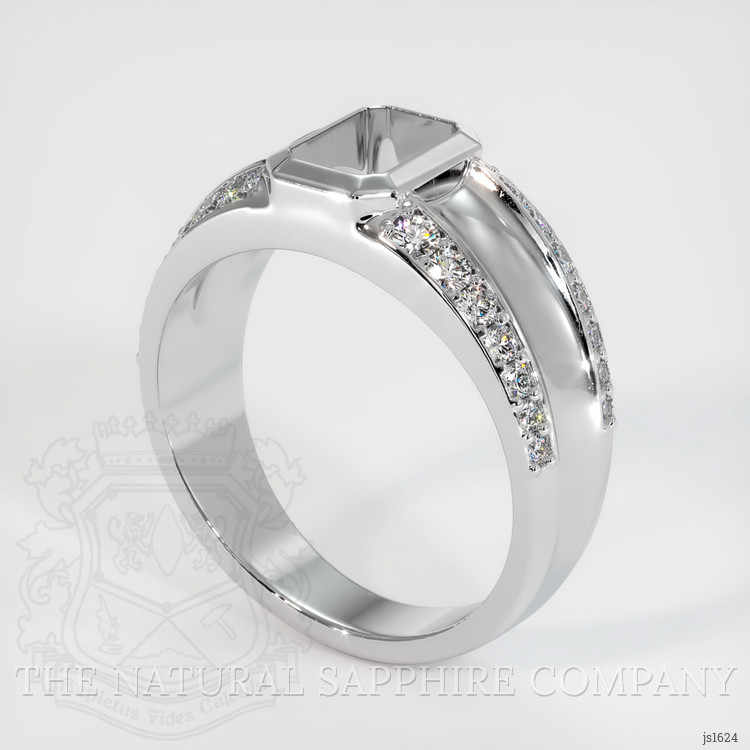14K White Gold Men's Ring Setting