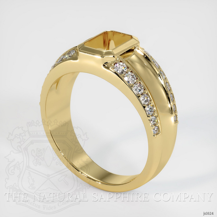 14K Yellow Gold Men's Ring Setting