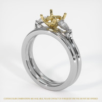 14K Yellow & White Three Stone Ring Setting Video