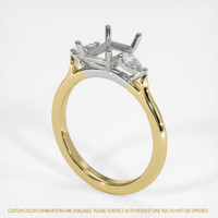 14K White & Yellow Three Stone Ring Setting Video