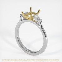 14K Yellow & White Three Stone Ring Setting Video
