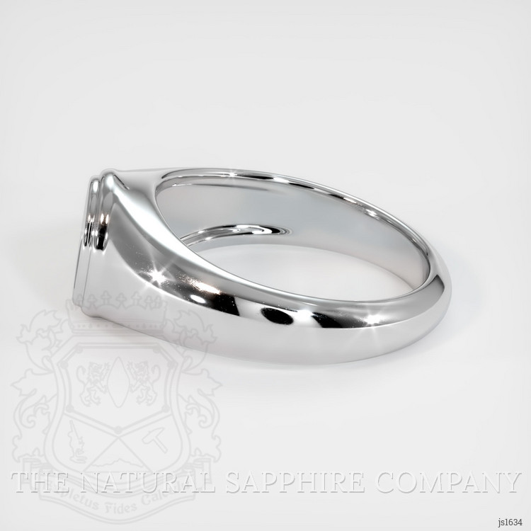 14K White Gold Men's Ring Setting
