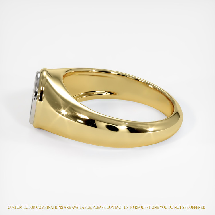14K White & Yellow Men's Ring Setting