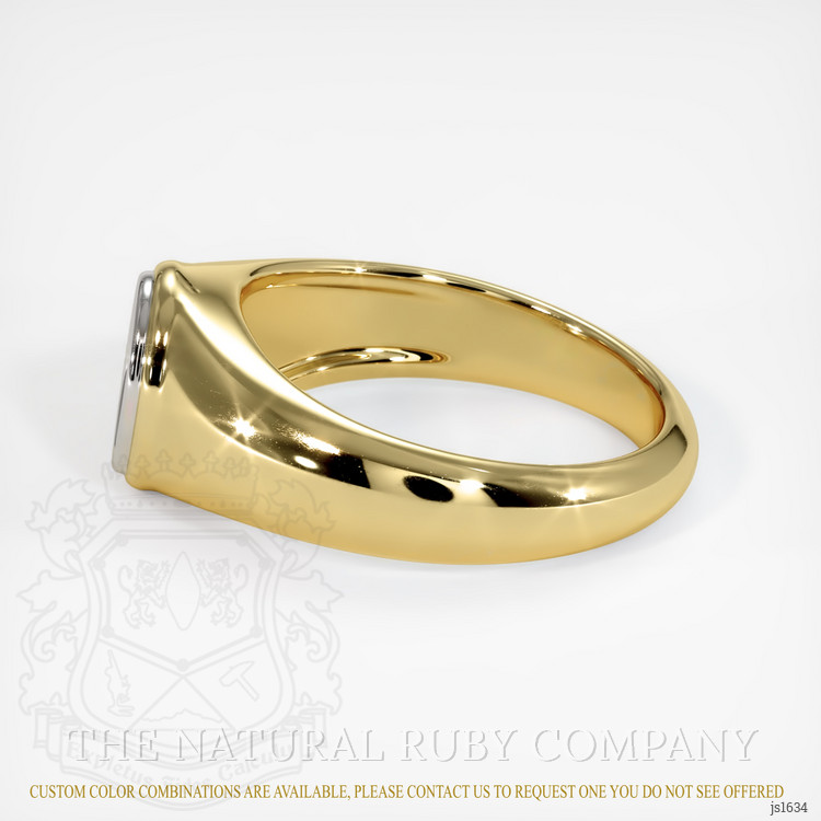 14K White & Yellow Men's Ring Setting