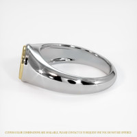 14K Yellow & White Men's Ring Setting Image