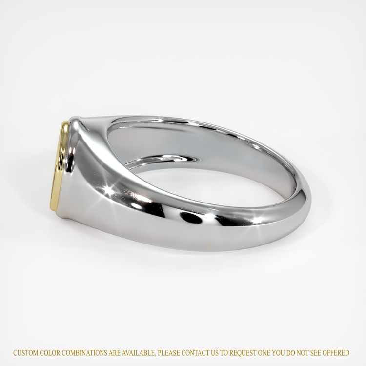 14K Yellow & White Men's Ring Setting