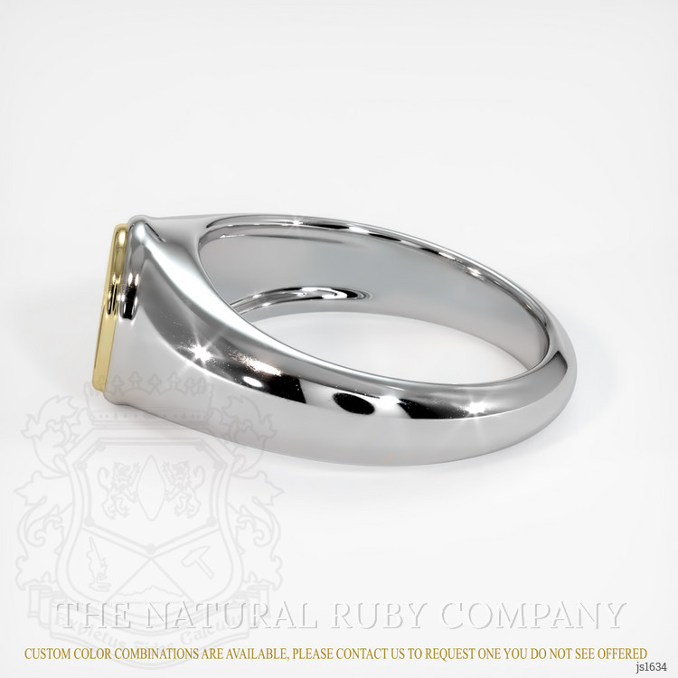 14K Yellow & White Men's Ring Setting