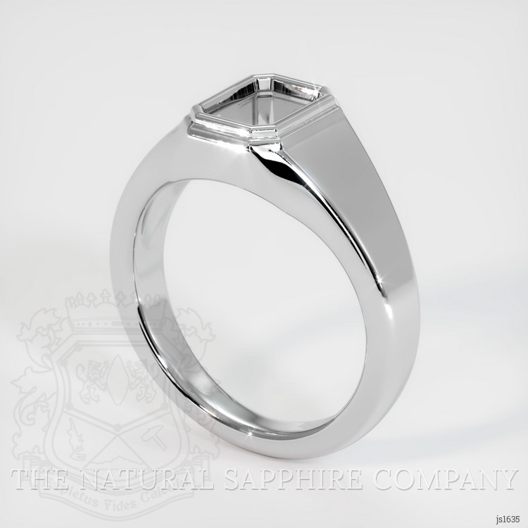 Silver Men's Ring Setting