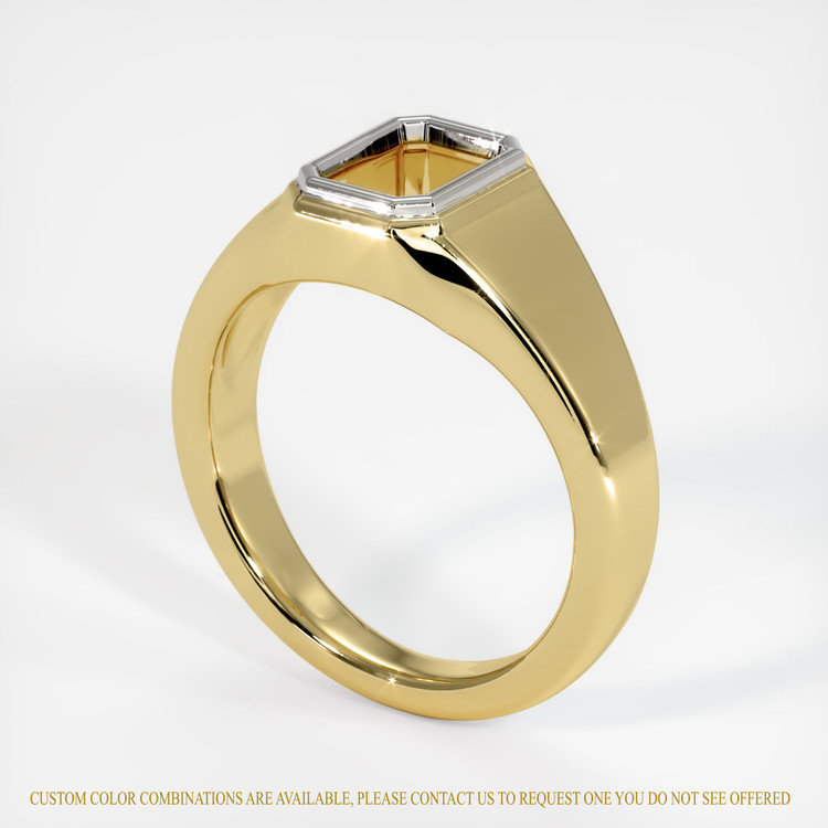 14K White & Yellow Men's Ring Setting