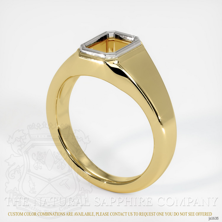 14K White & Yellow Men's Ring Setting