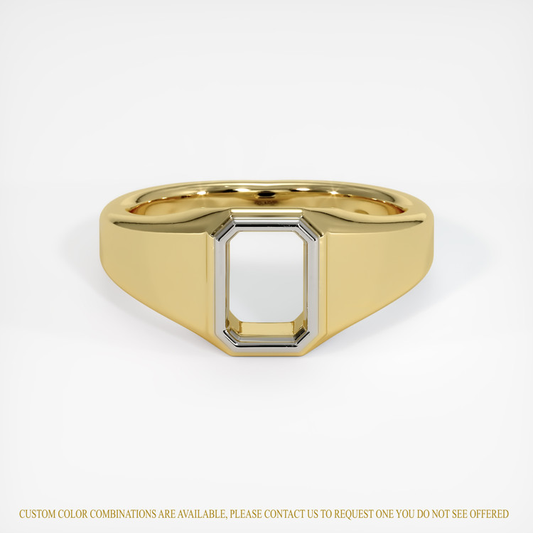 14K White & Yellow Men's Ring Setting