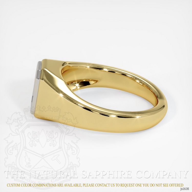 14K White & Yellow Men's Ring Setting