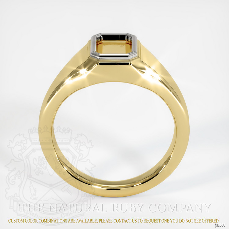 14K White & Yellow Men's Ring Setting