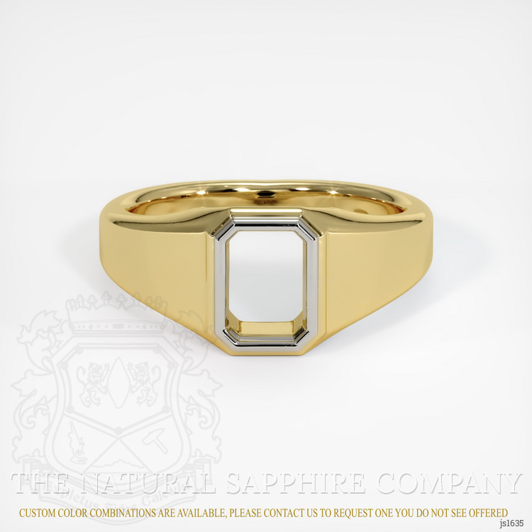 18K White & Yellow Men's Ring Setting