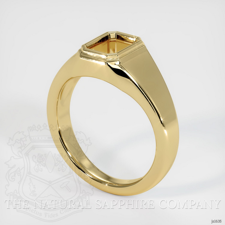 10K Yellow Gold Men's Ring Setting
