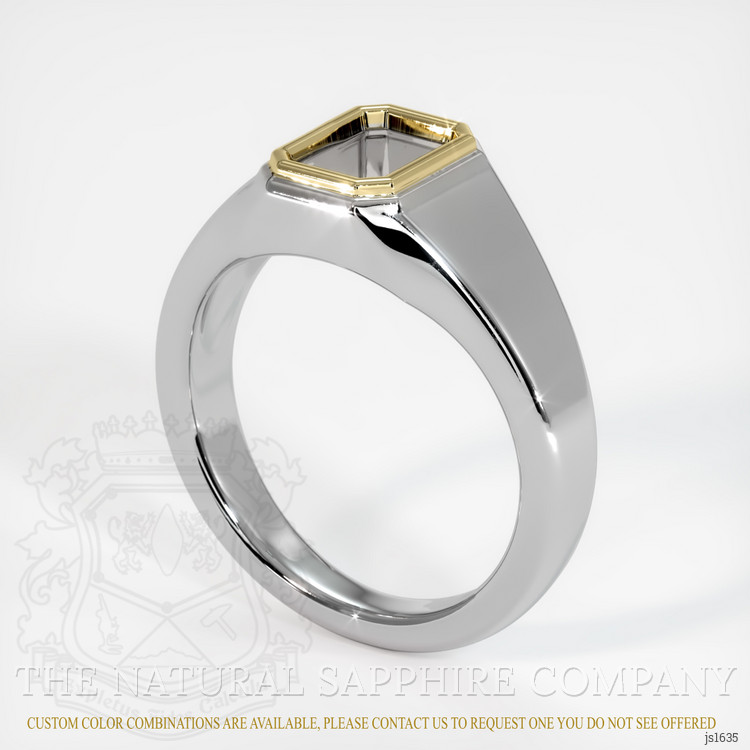 14K Yellow & White Men's Ring Setting