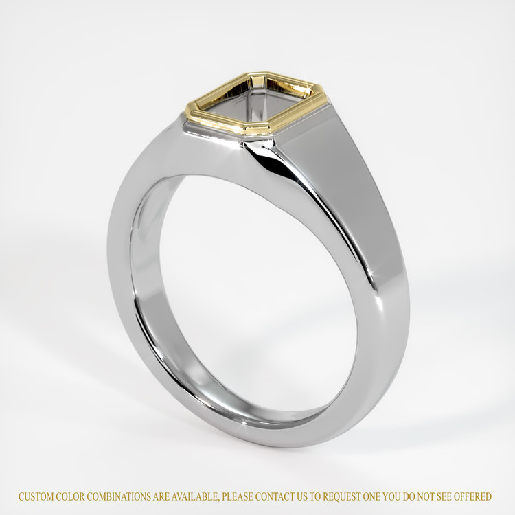 14K Yellow & White Men's Ring Setting