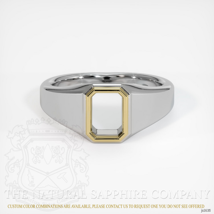 14K Yellow & White Men's Ring Setting