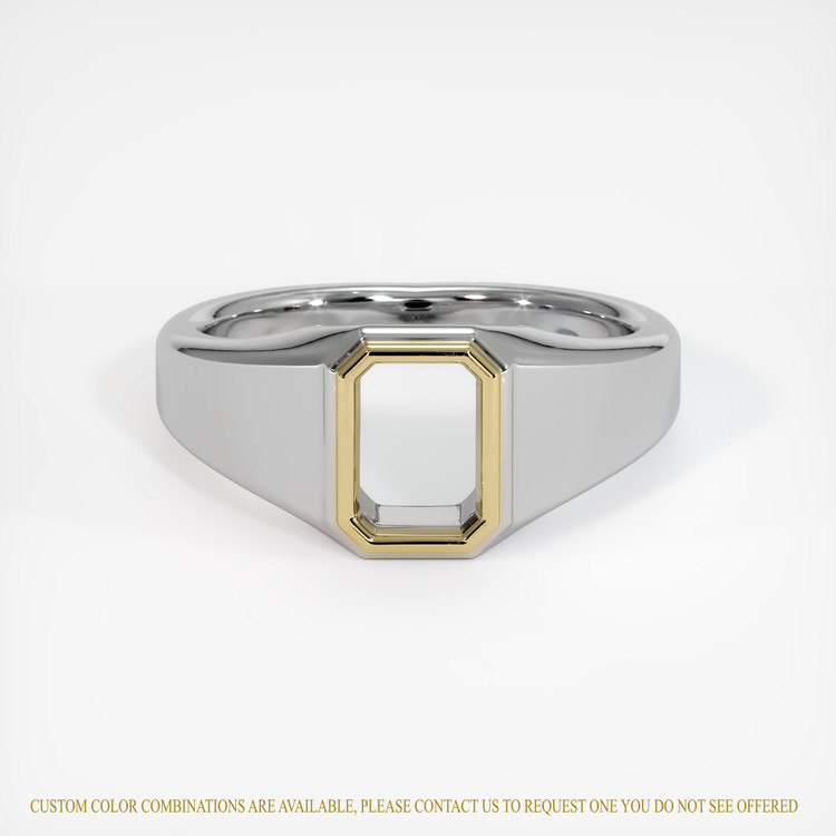 14K Yellow & White Men's Ring Setting