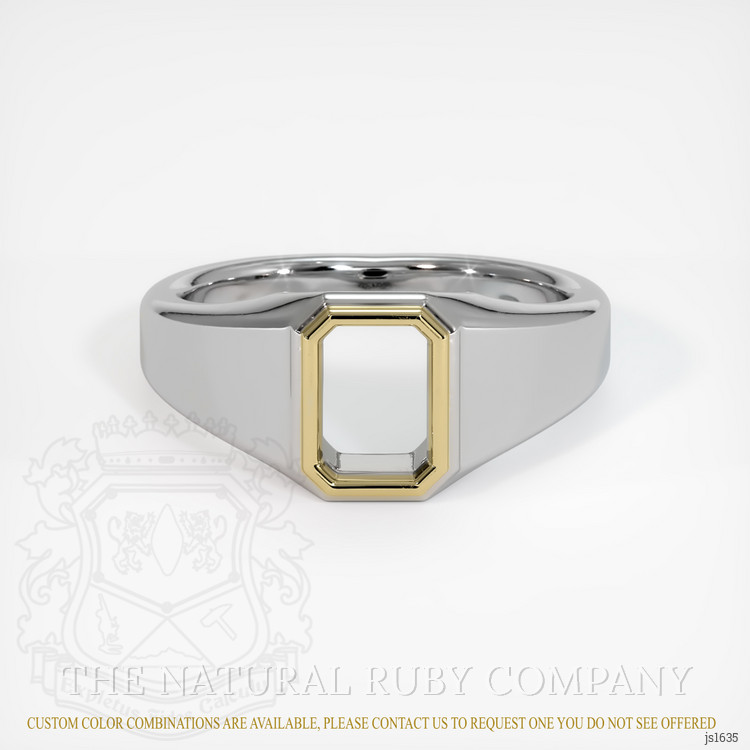 14K Yellow & White Men's Ring Setting
